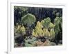 Colorado, San Juan Mts, Uncompahgre Nf, Fall Colors of Aspens-Christopher Talbot Frank-Framed Photographic Print