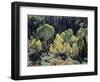 Colorado, San Juan Mts, Uncompahgre Nf, Fall Colors of Aspens-Christopher Talbot Frank-Framed Photographic Print