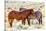Colorado, Sand Wash Basin. Close-Up of Wild Horses-Jaynes Gallery-Stretched Canvas