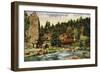 Colorado, Scenic Mountain View in Bear Creek Canyon near Evergreen-Lantern Press-Framed Art Print