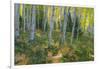 Colorado. Scenic of Aspen Forest-Jaynes Gallery-Framed Photographic Print