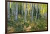 Colorado. Scenic of Aspen Forest-Jaynes Gallery-Framed Photographic Print