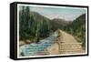 Colorado - Scenic Road in the Rocky Mountains, Poem-Lantern Press-Framed Stretched Canvas