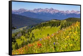 Colorado, Shrine Pass, Vail. Wildflowers on Mountain Landscape-Jaynes Gallery-Framed Stretched Canvas