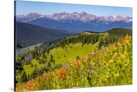 Colorado, Shrine Pass, Vail. Wildflowers on Mountain Landscape-Jaynes Gallery-Stretched Canvas