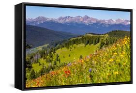 Colorado, Shrine Pass, Vail. Wildflowers on Mountain Landscape-Jaynes Gallery-Framed Stretched Canvas