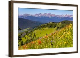 Colorado, Shrine Pass, Vail. Wildflowers on Mountain Landscape-Jaynes Gallery-Framed Photographic Print