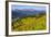 Colorado, Shrine Pass, Vail. Wildflowers on Mountain Landscape-Jaynes Gallery-Framed Photographic Print