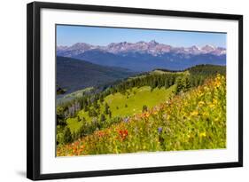 Colorado, Shrine Pass, Vail. Wildflowers on Mountain Landscape-Jaynes Gallery-Framed Photographic Print