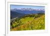 Colorado, Shrine Pass, Vail. Wildflowers on Mountain Landscape-Jaynes Gallery-Framed Premium Photographic Print