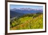 Colorado, Shrine Pass, Vail. Wildflowers on Mountain Landscape-Jaynes Gallery-Framed Premium Photographic Print