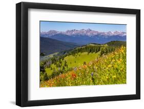 Colorado, Shrine Pass, Vail. Wildflowers on Mountain Landscape-Jaynes Gallery-Framed Premium Photographic Print