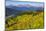 Colorado, Shrine Pass, Vail. Wildflowers on Mountain Landscape-Jaynes Gallery-Mounted Premium Photographic Print