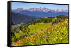 Colorado, Shrine Pass, Vail. Wildflowers on Mountain Landscape-Jaynes Gallery-Framed Stretched Canvas