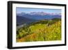 Colorado, Shrine Pass, Vail. Wildflowers on Mountain Landscape-Jaynes Gallery-Framed Photographic Print