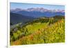 Colorado, Shrine Pass, Vail. Wildflowers on Mountain Landscape-Jaynes Gallery-Framed Premium Photographic Print