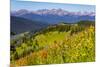 Colorado, Shrine Pass, Vail. Wildflowers on Mountain Landscape-Jaynes Gallery-Mounted Premium Photographic Print