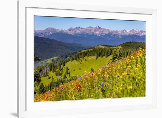 Colorado, Shrine Pass, Vail. Wildflowers on Mountain Landscape-Jaynes Gallery-Framed Photographic Print