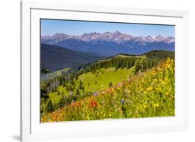 Colorado, Shrine Pass, Vail. Wildflowers on Mountain Landscape-Jaynes Gallery-Framed Photographic Print