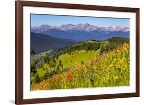 Colorado, Shrine Pass, Vail. Wildflowers on Mountain Landscape-Jaynes Gallery-Framed Photographic Print