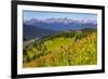 Colorado, Shrine Pass, Vail. Wildflowers on Mountain Landscape-Jaynes Gallery-Framed Photographic Print