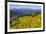 Colorado, Shrine Pass, Vail. Wildflowers on Mountain Landscape-Jaynes Gallery-Framed Photographic Print