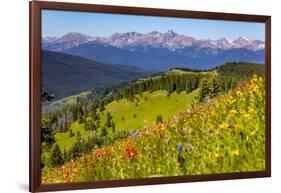 Colorado, Shrine Pass, Vail. Wildflowers on Mountain Landscape-Jaynes Gallery-Framed Photographic Print