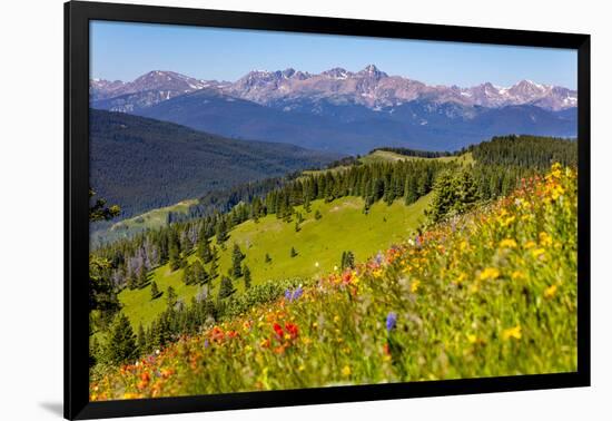 Colorado, Shrine Pass, Vail. Wildflowers on Mountain Landscape-Jaynes Gallery-Framed Photographic Print