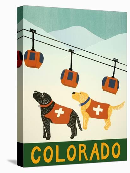 Colorado Ski Patrol-Stephen Huneck-Stretched Canvas