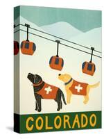 Colorado Ski Patrol-Stephen Huneck-Stretched Canvas