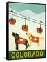 Colorado Ski Patrol-Stephen Huneck-Framed Stretched Canvas