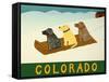 Colorado Sled Dogs-Stephen Huneck-Framed Stretched Canvas