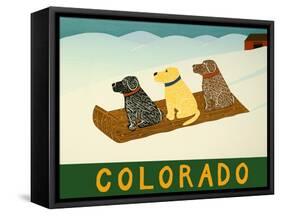 Colorado Sled Dogs-Stephen Huneck-Framed Stretched Canvas