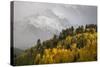 Colorado, Sneffels Range. Snow Clouds over Mt Sneffels at Sunset-Don Grall-Stretched Canvas