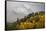 Colorado, Sneffels Range. Snow Clouds over Mt Sneffels at Sunset-Don Grall-Framed Stretched Canvas