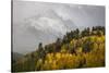 Colorado, Sneffels Range. Snow Clouds over Mt Sneffels at Sunset-Don Grall-Stretched Canvas