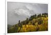 Colorado, Sneffels Range. Snow Clouds over Mt Sneffels at Sunset-Don Grall-Framed Photographic Print