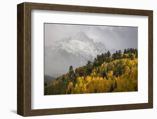 Colorado, Sneffels Range. Snow Clouds over Mt Sneffels at Sunset-Don Grall-Framed Photographic Print