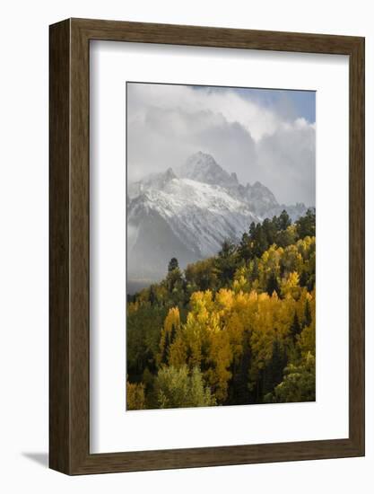 Colorado, Sneffels Range. Snow Clouds over Mt Sneffels at Sunset-Don Grall-Framed Photographic Print