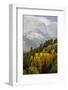 Colorado, Sneffels Range. Snow Clouds over Mt Sneffels at Sunset-Don Grall-Framed Photographic Print