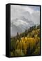 Colorado, Sneffels Range. Snow Clouds over Mt Sneffels at Sunset-Don Grall-Framed Stretched Canvas