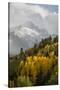 Colorado, Sneffels Range. Snow Clouds over Mt Sneffels at Sunset-Don Grall-Stretched Canvas