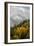 Colorado, Sneffels Range. Snow Clouds over Mt Sneffels at Sunset-Don Grall-Framed Photographic Print