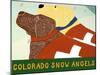 Colorado Snow Angels Choc Yell-Stephen Huneck-Mounted Giclee Print