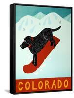 Colorado Snowboard Black-Stephen Huneck-Framed Stretched Canvas