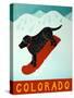 Colorado Snowboard Black-Stephen Huneck-Stretched Canvas