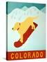 Colorado Snowboard Yellow-Stephen Huneck-Stretched Canvas