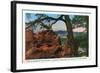 Colorado Springs, Colorado, Garden of the Gods Vista View of Pikes Peak-Lantern Press-Framed Art Print
