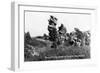 Colorado Springs, Colorado - Punch and Judy Rock Formations, Garden of the Gods-Lantern Press-Framed Art Print