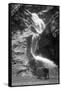 Colorado Springs, Colorado - South Cheyenne Canyon; Burro at Seven Falls-Lantern Press-Framed Stretched Canvas